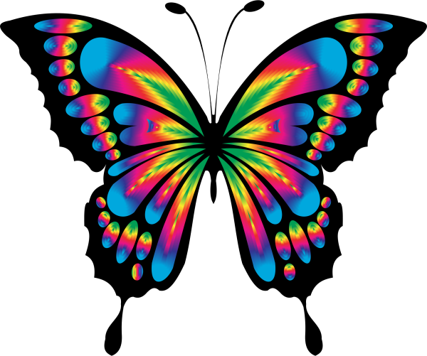 Красивые бабочки