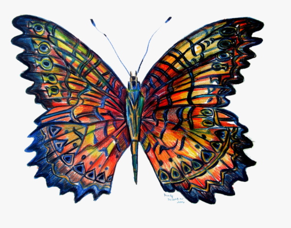 Узоры на крыльях бабочки