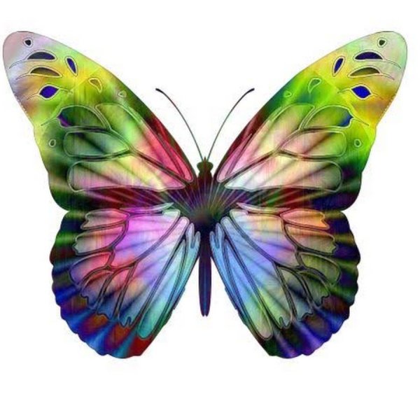 Бабочки цветные