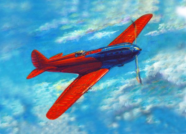 Поликарпов и-17