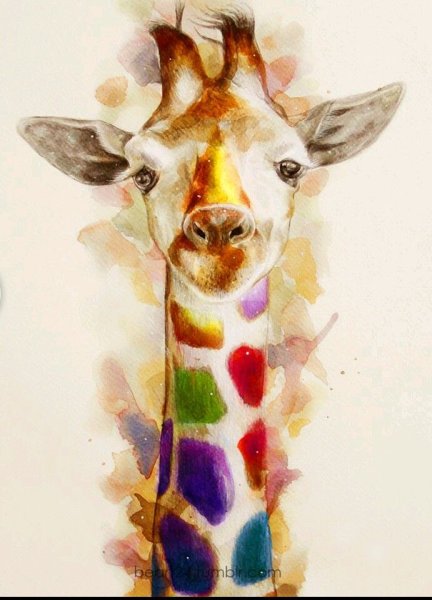 Жираф акварель
