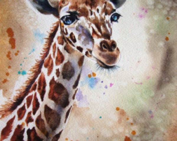Жираф рисунок