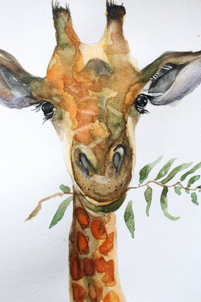 Стилизованный Жираф