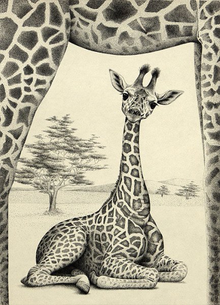 Срисовка жирафа