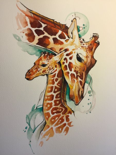 Жирафы арт