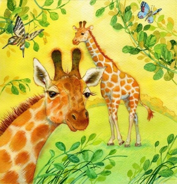 Жираф для срисовки