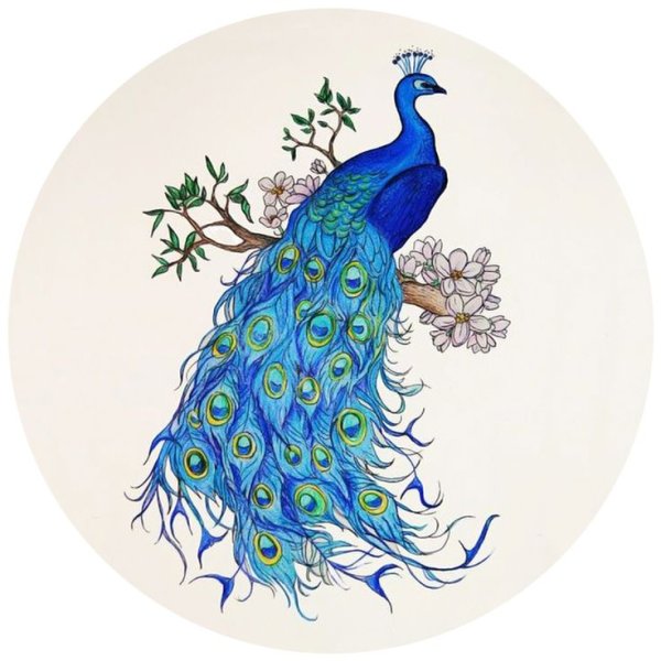 Павлин рисунок