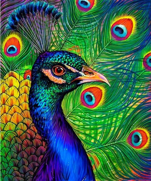 Картина Павлин