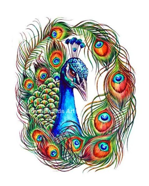 Стилизованные Павлины