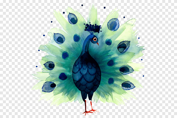 Павлин горячий батик