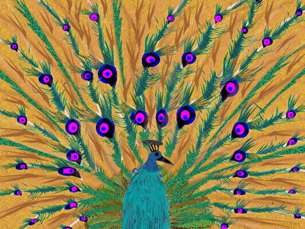 Павлин живопись декоративная