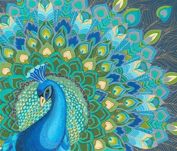 Павлин рисунок