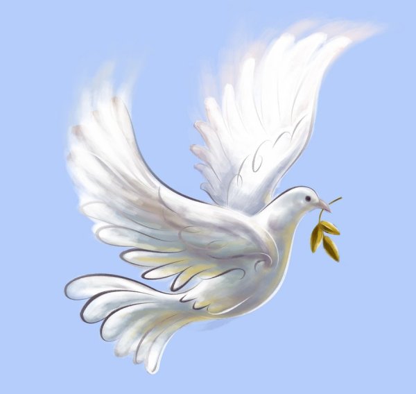 Белый голубь мира