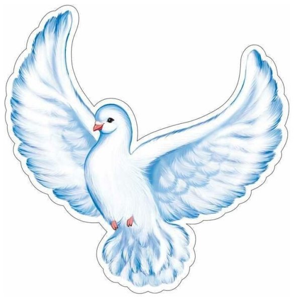 Голуби для оформления