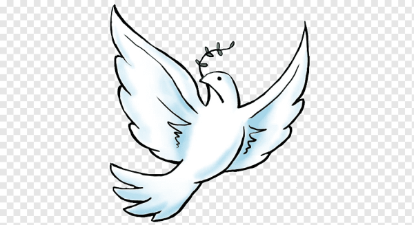 Белый голубь рисунок