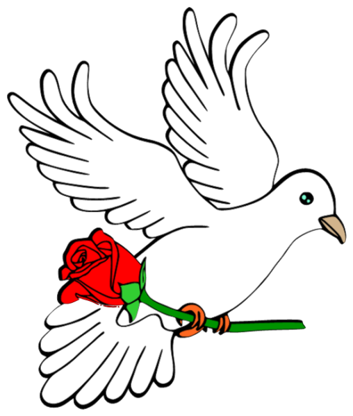 Изображение голубя мира