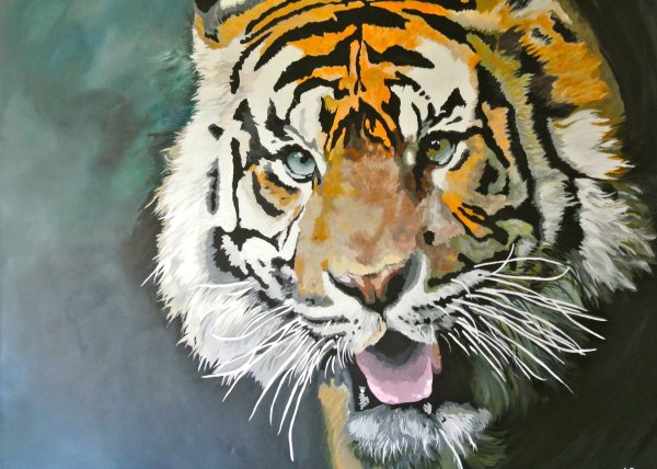 Красивые рисунки тигра