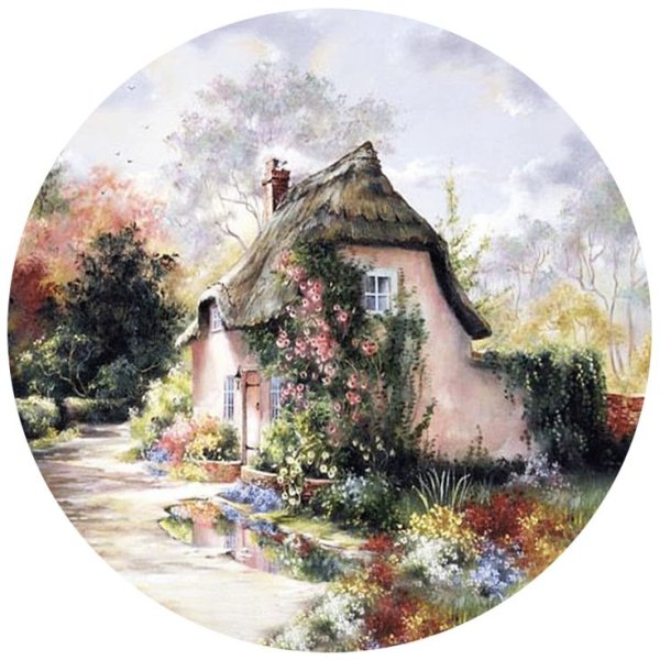 Птичка в круге