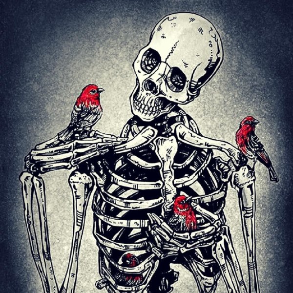 Скелет карандашом