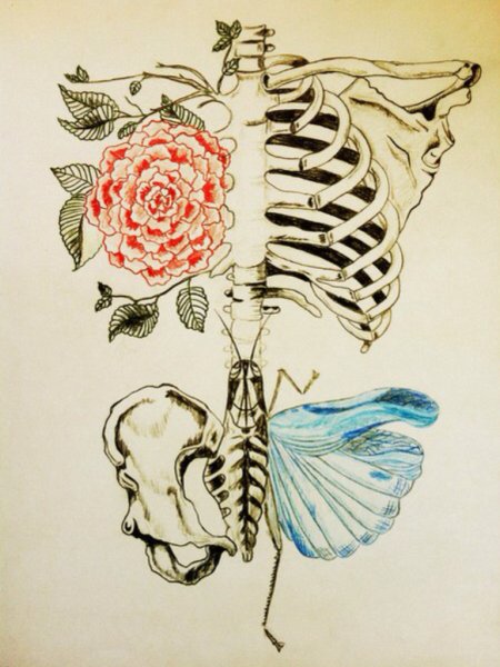 Скелет рисунок