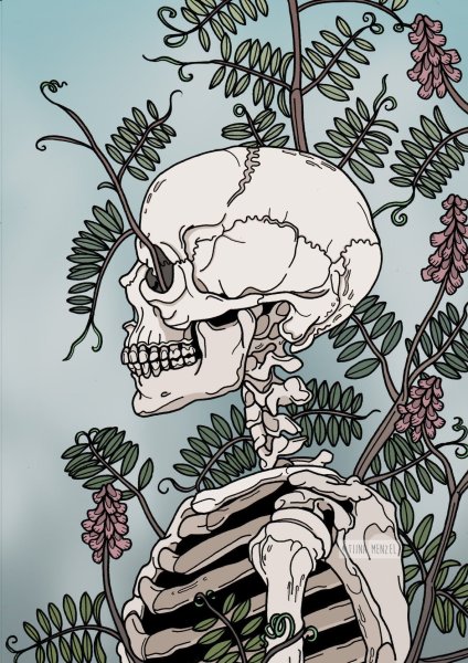 Скелет на черном фоне