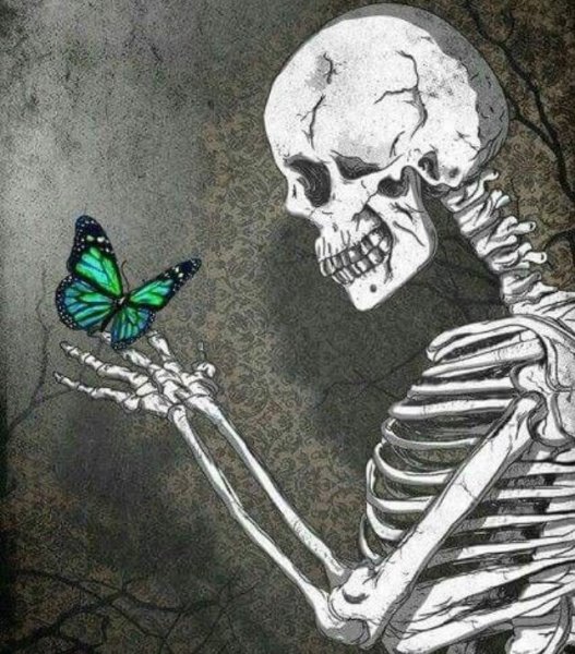 Скелет арт легкий