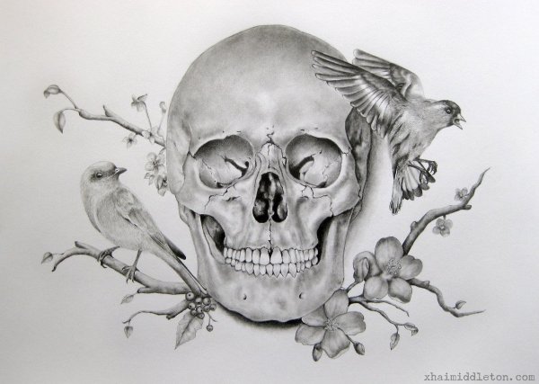 Цветы на ребрах