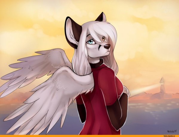 Красивые фурри