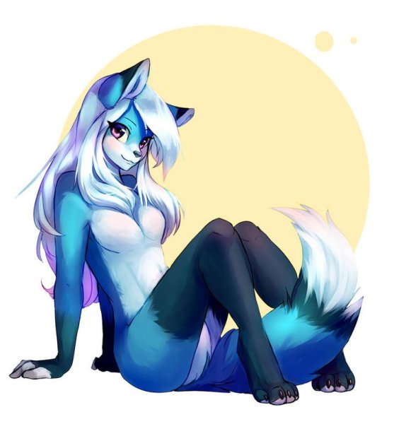 Фурри синяя волчица Saphayla