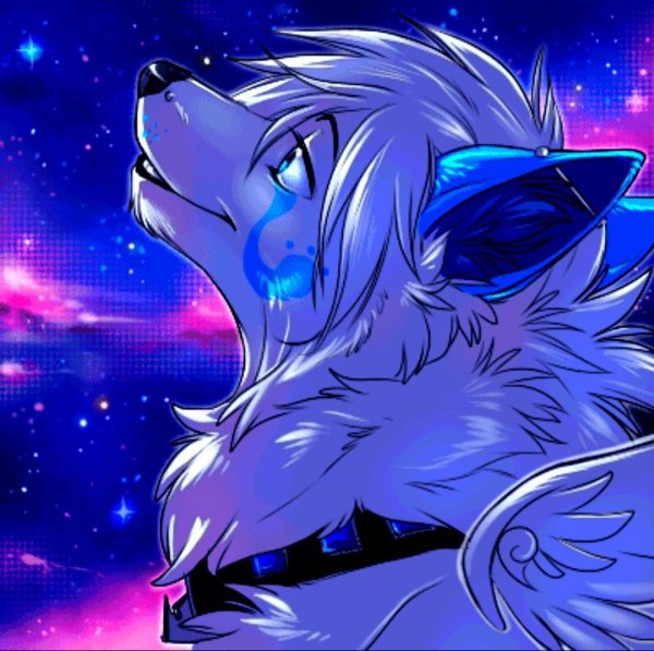 Волки Воители Луна