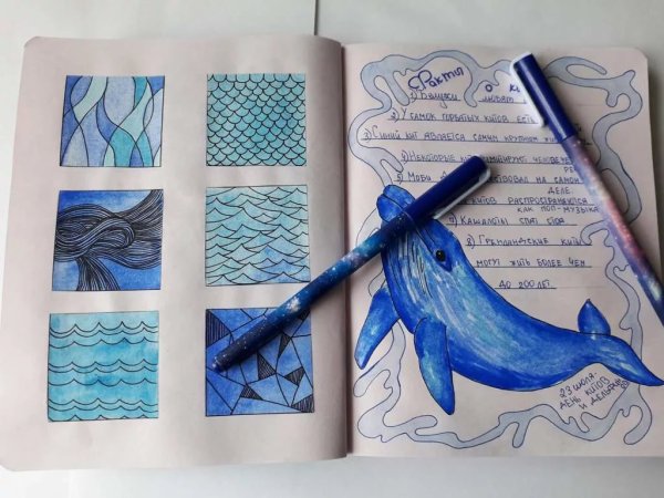 Идеи для дневника для девочек