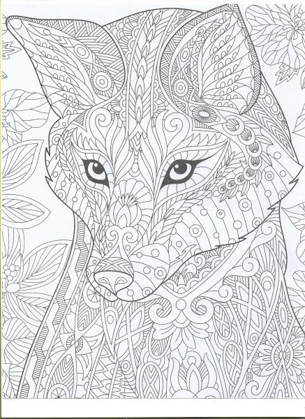 Mythomorphia Kerby Rosanes