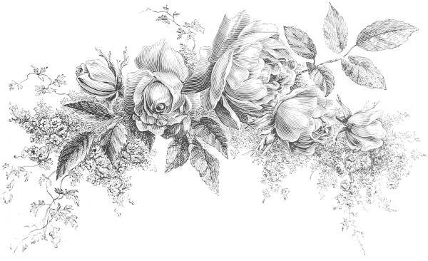 Цветы эскиз