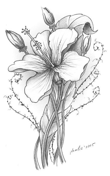 Черно-белый цветок