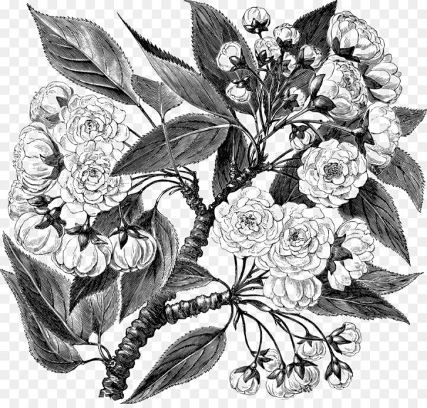 Цветочный эскиз для стен