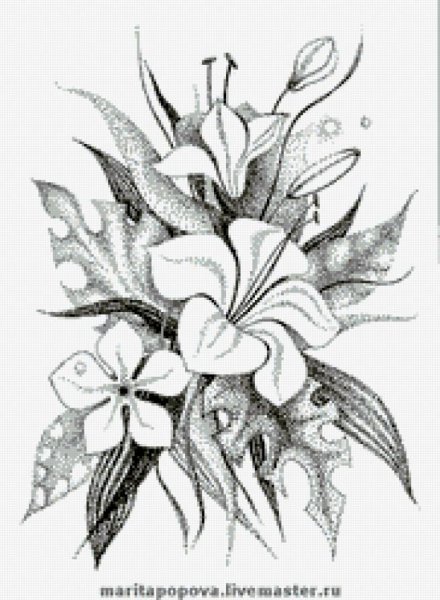 Зарисовки цветов