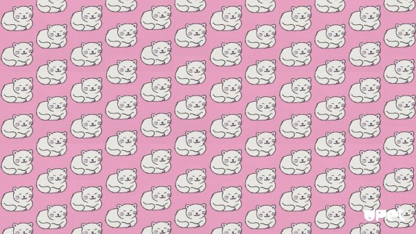 Креативные обои на ноутбук