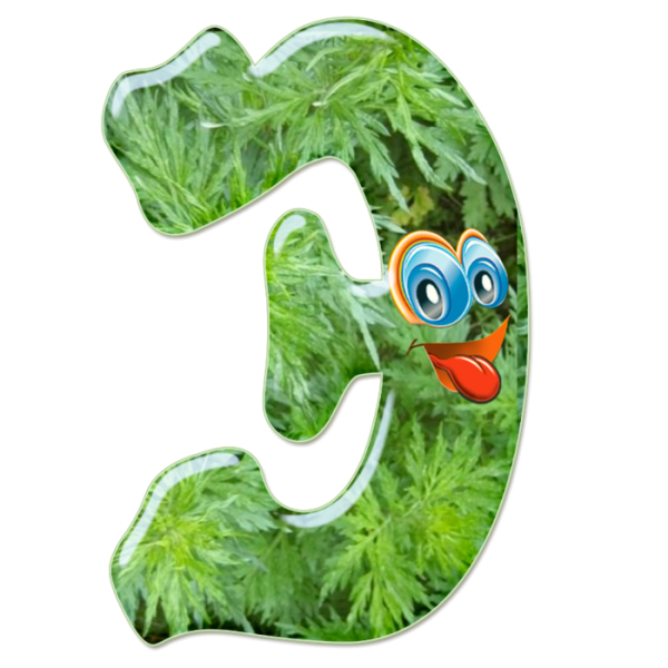 Интересные буквы алфавита