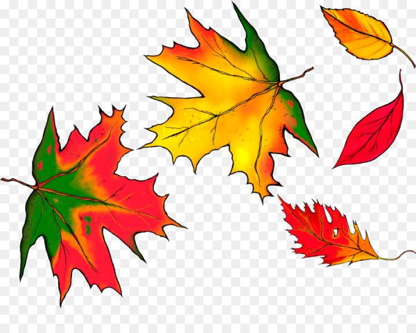 Рисунки осенних листьев