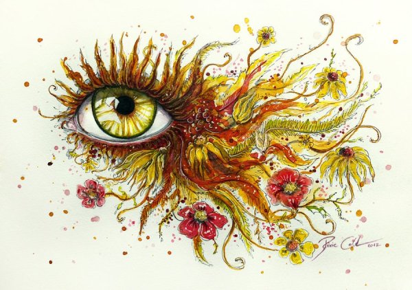 Рисунки очень красивые и необычные