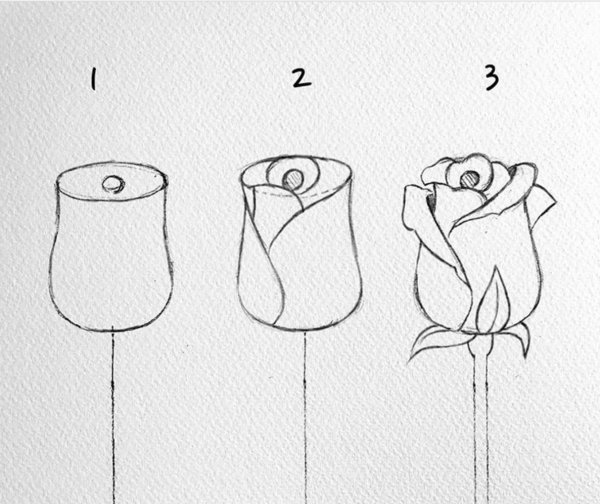 Щенок поэтапно карандашом