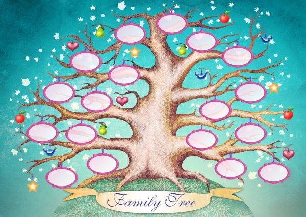 Шежере родословная