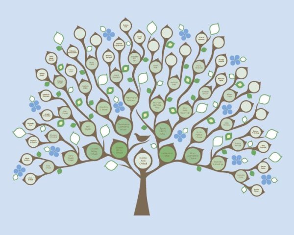 Родословная дерево Шежере