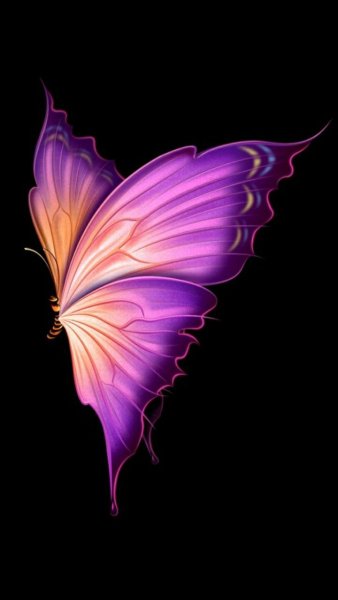 Крылья бабочки