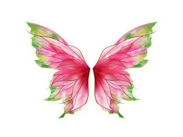 Крылья бабочки