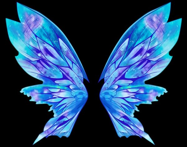 Крылья Блум Дримикс
