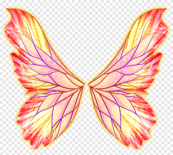 Крылья Винкс