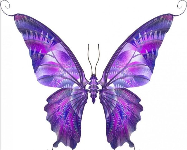 Сиреневые бабочки