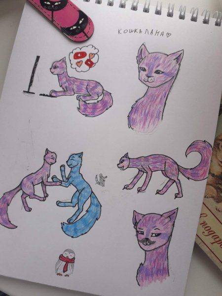 Кошка Лана арт для срисовки карандашом