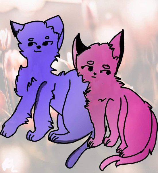 Кошка Лана и кот Лео шип